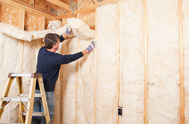 Best Spray Foam Insulation  in West Sharyland, TX